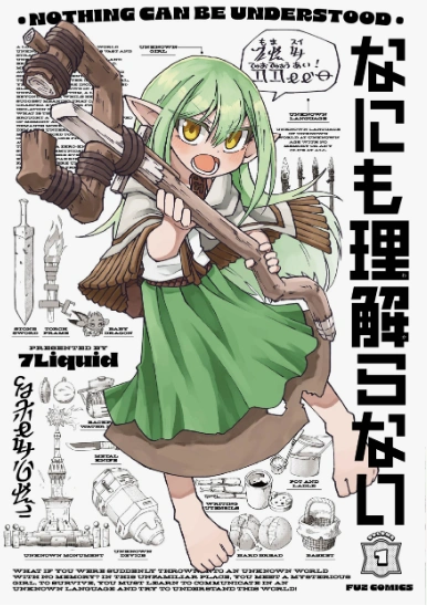 Nothing Can be Understood Cover Image