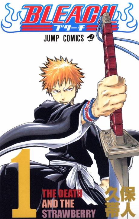 Bleach Cover Image