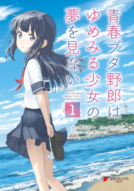 Rascal Does Not Dream of a Dreaming Girl Cover Image