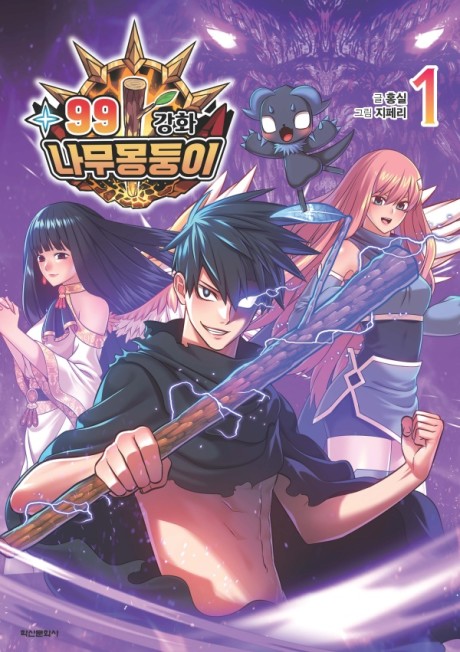 99 Reinforced Wood Stick fr Cover Image